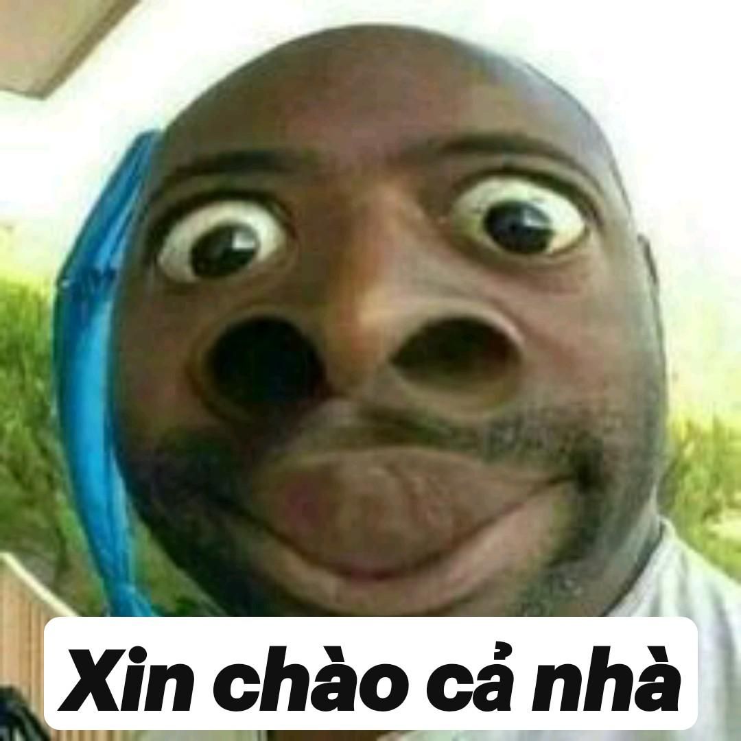 Xin chào cả nhà